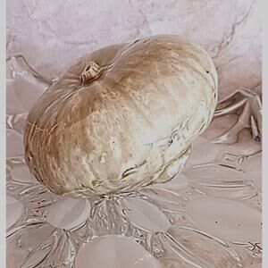 Realistic Ceramic GOURD ugly Pumpkin Art Glaze Kitsch Decor Thanksgiving Kitchen